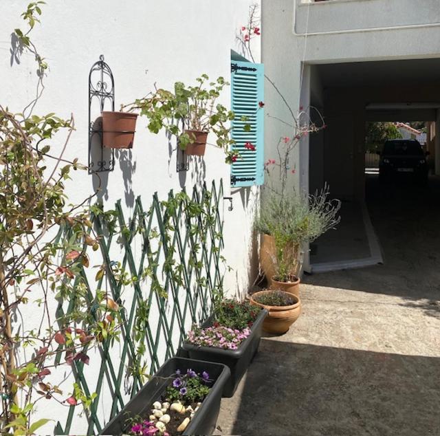 Spata Lykourgos Homes Kültér fotó